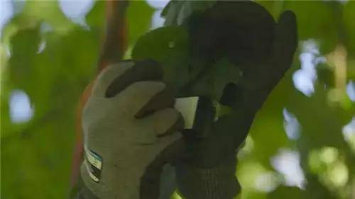 唯獨這些抓人眼球的戶外廣告才配叫創意！標識主也滿意10
