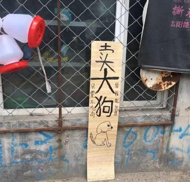 中國街道t型廣告牌有多野？看看這些讓人笑掉大牙的牌子名20